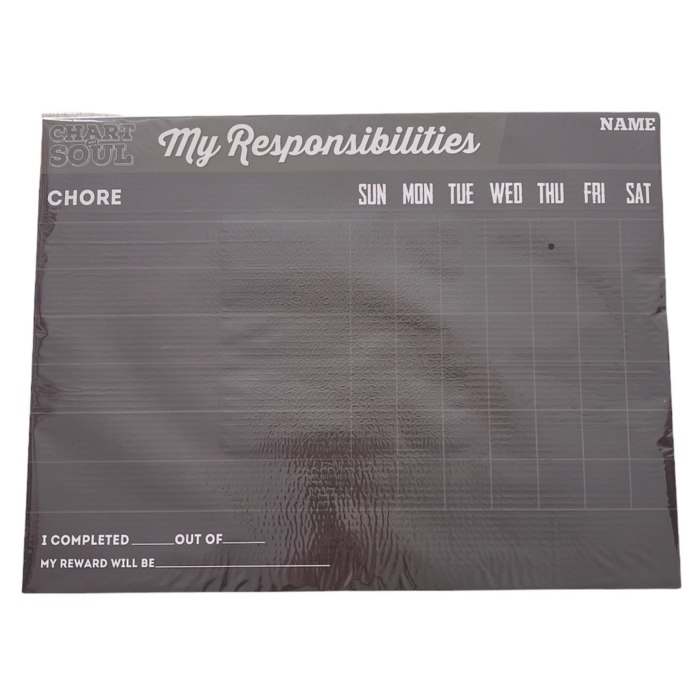 NEW Chart & Soul Magnetic Chore Chart